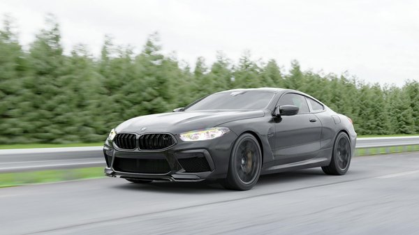 How Can Pets in the UK Improve Your Mental Well-being?