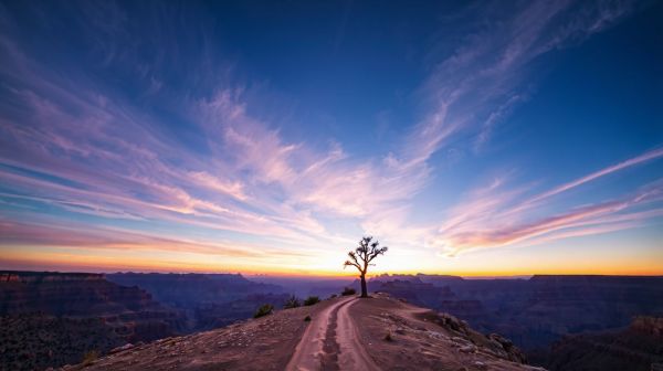 Unleash your wanderlust: the ultimate usa travel blog journey
